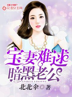 暗黑老公,宝妻难逑